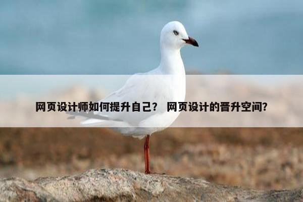 网页设计师如何提升自己？ 网页设计的晋升空间？