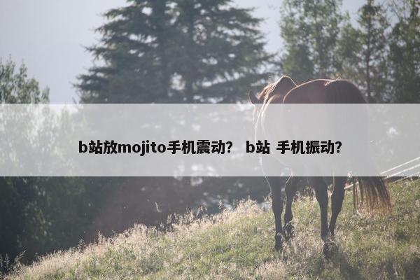 b站放mojito手机震动？ b站 手机振动？