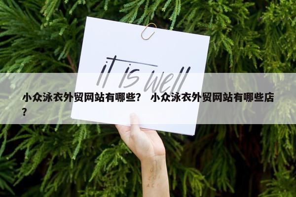 小众泳衣外贸网站有哪些？ 小众泳衣外贸网站有哪些店？