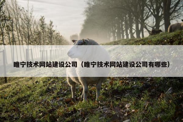 睢宁技术网站建设公司（睢宁技术网站建设公司有哪些）