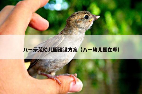 八一示范幼儿园建设方案（八一幼儿园在哪）