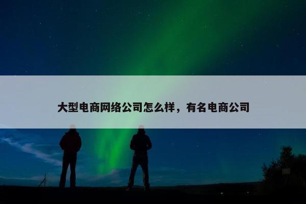 大型电商网络公司怎么样，有名电商公司