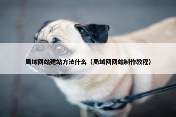 局域网站建站方法什么（局域网网站制作教程）
