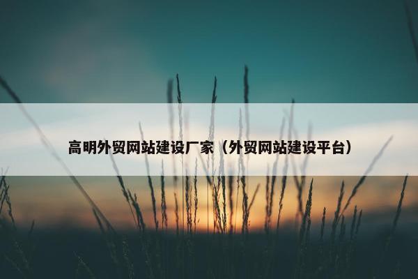 高明外贸网站建设厂家（外贸网站建设平台）