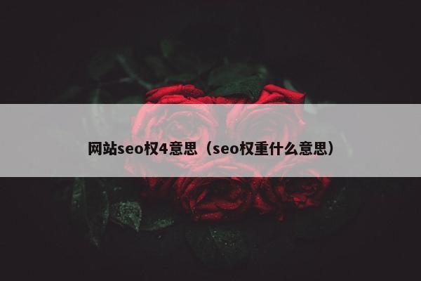网站seo权4意思（seo权重什么意思）