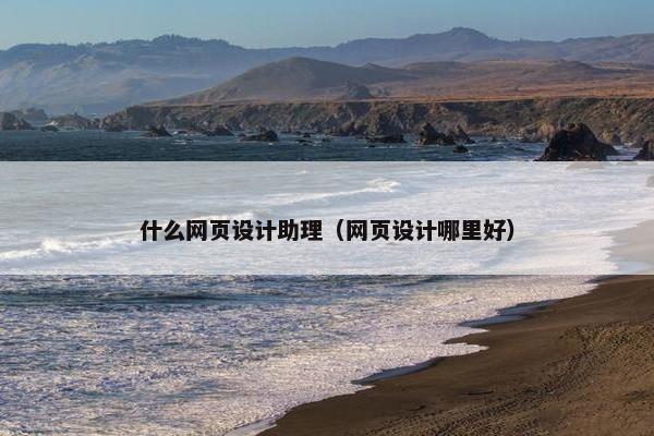 什么网页设计助理（网页设计哪里好）