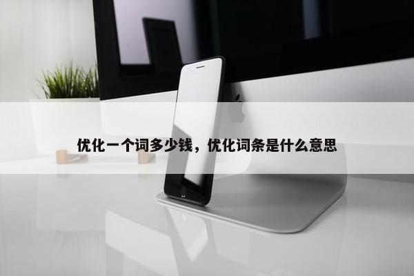 优化一个词多少钱，优化词条是什么意思