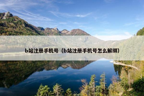 b站注册手机号（b站注册手机号怎么解绑）