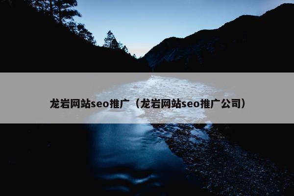龙岩网站seo推广（龙岩网站seo推广公司）