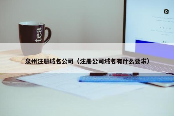 泉州注册域名公司（注册公司域名有什么要求）