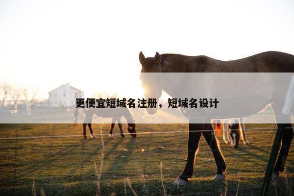 更便宜短域名注册，短域名设计
