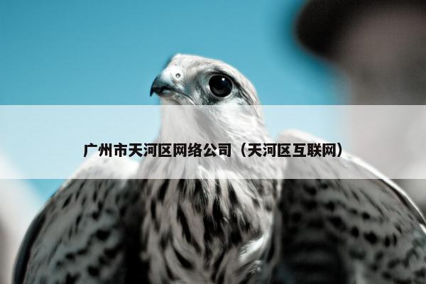 广州市天河区网络公司（天河区互联网）