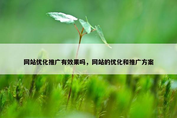网站优化推广有效果吗，网站的优化和推广方案