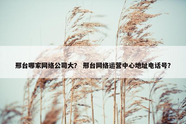 邢台哪家网络公司大？ 邢台网络运营中心地址电话号？