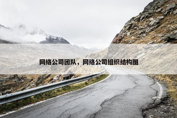 网络公司团队，网络公司组织结构图