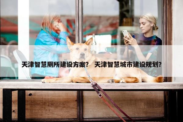 天津智慧厕所建设方案？ 天津智慧城市建设规划？