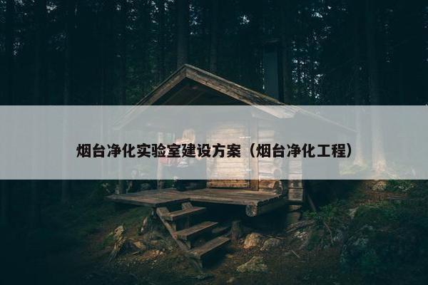 烟台净化实验室建设方案（烟台净化工程）