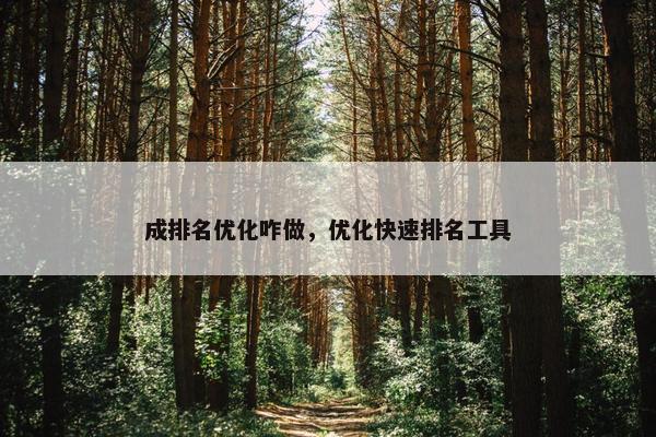 成排名优化咋做，优化快速排名工具