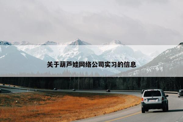 关于葫芦娃网络公司实习的信息