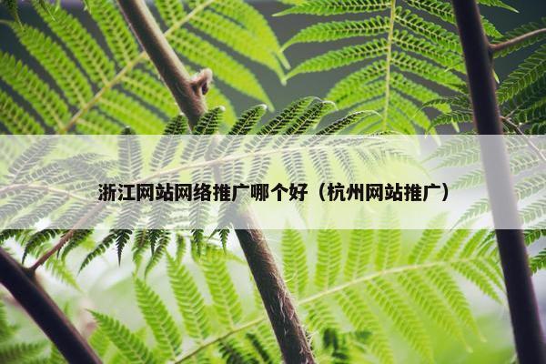 浙江网站网络推广哪个好（杭州网站推广）
