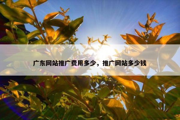 广东网站推广费用多少，推广网站多少钱