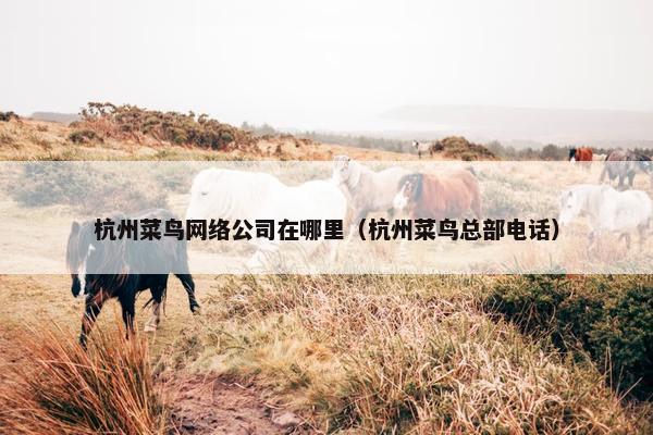 杭州菜鸟网络公司在哪里（杭州菜鸟总部电话）