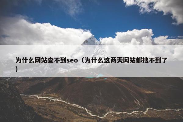 为什么网站查不到seo（为什么这两天网站都搜不到了）