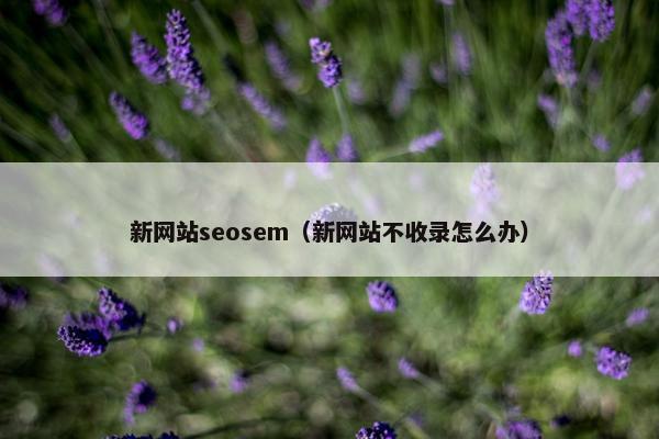 新网站seosem（新网站不收录怎么办）