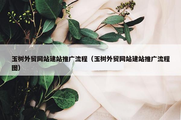 玉树外贸网站建站推广流程（玉树外贸网站建站推广流程图）