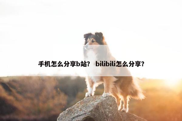 手机怎么分享b站？ bilibili怎么分享？