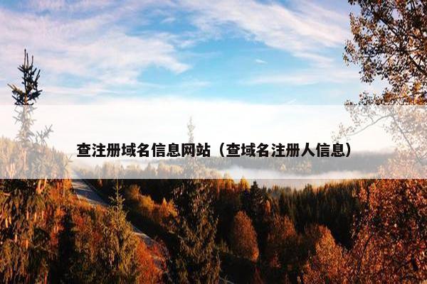 查注册域名信息网站（查域名注册人信息）