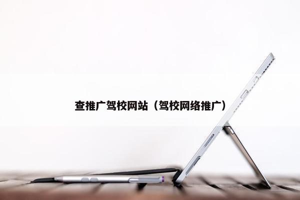 查推广驾校网站（驾校网络推广）