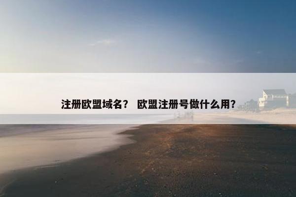 注册欧盟域名？ 欧盟注册号做什么用？