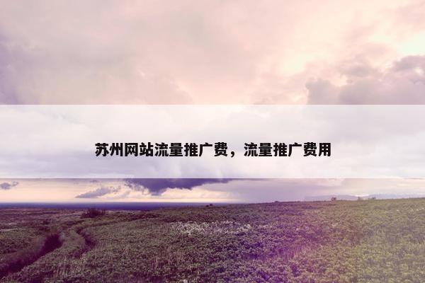 苏州网站流量推广费，流量推广费用
