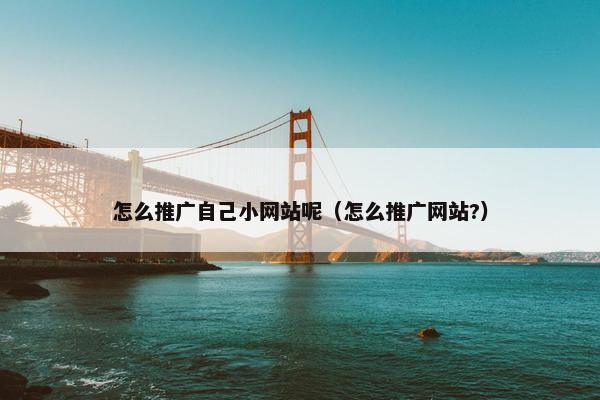 怎么推广自己小网站呢（怎么推广网站?）