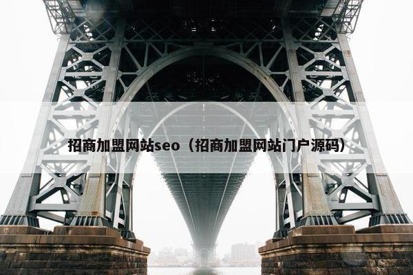 招商加盟网站seo（招商加盟网站门户源码）