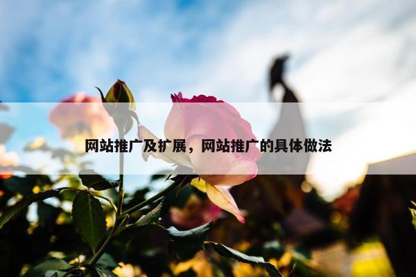 网站推广及扩展，网站推广的具体做法