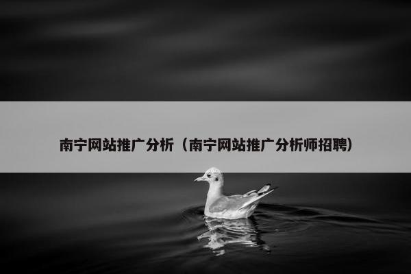 南宁网站推广分析（南宁网站推广分析师招聘）