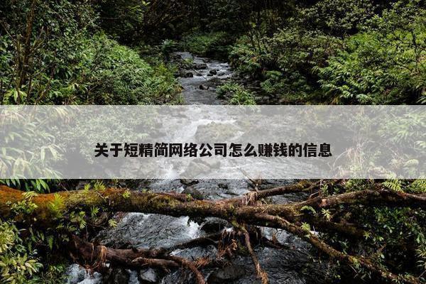 关于短精简网络公司怎么赚钱的信息