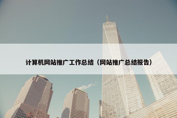 计算机网站推广工作总结（网站推广总结报告）