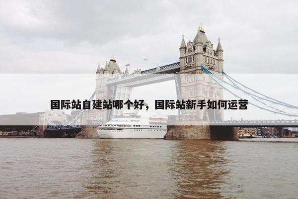 国际站自建站哪个好，国际站新手如何运营