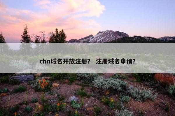 chn域名开放注册？ 注册域名申请？