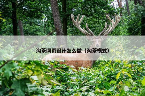 淘茶网页设计怎么做（淘茶模式）