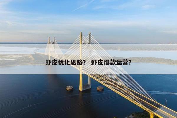 虾皮优化思路？ 虾皮爆款运营？