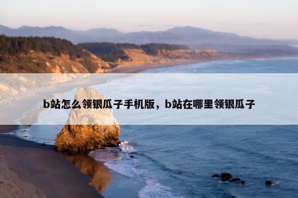 b站怎么领银瓜子手机版，b站在哪里领银瓜子
