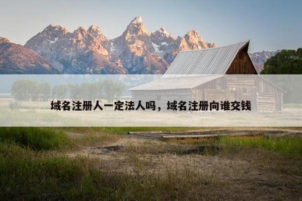 域名注册人一定法人吗，域名注册向谁交钱