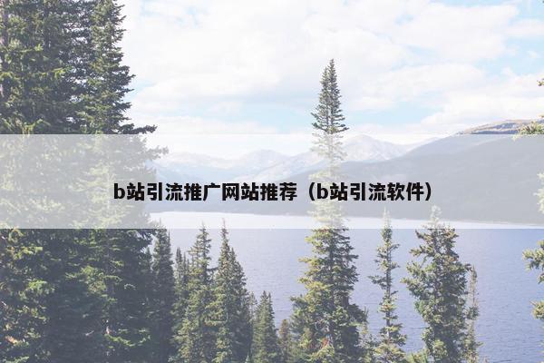b站引流推广网站推荐（b站引流软件）