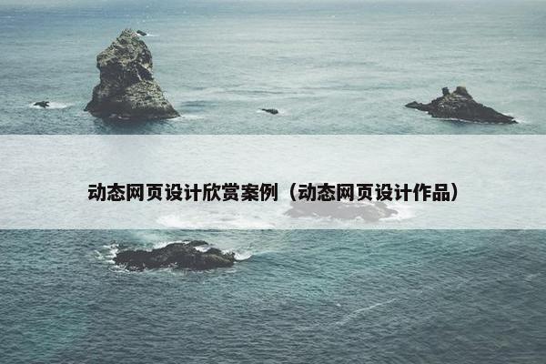 动态网页设计欣赏案例（动态网页设计作品）