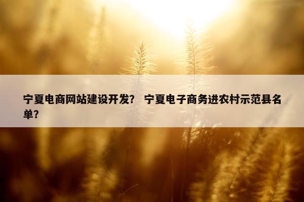 宁夏电商网站建设开发？ 宁夏电子商务进农村示范县名单？