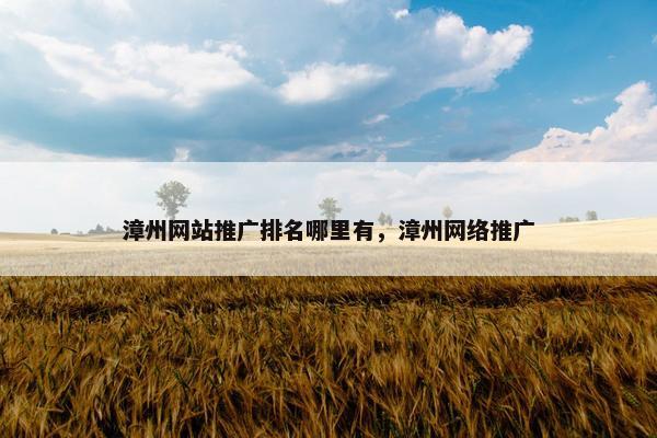 漳州网站推广排名哪里有，漳州网络推广